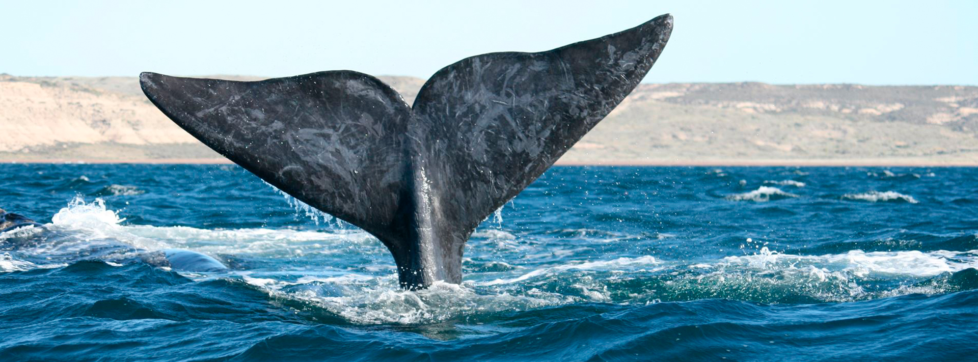 Puerto Madryn